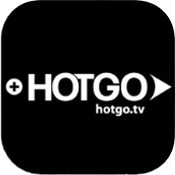 hotgo